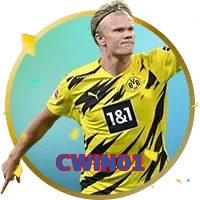 CWIN01