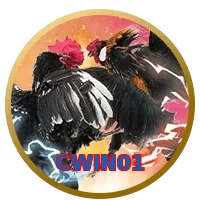 CWIN01