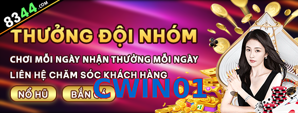 CWIN01